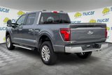 New 2025 Ford F150 XLT w/ Equipment Group 303A High image 5