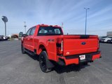 New 2025 Ford F350 4x4 Crew Cab Super Duty image 3