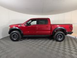 New 2025 Ford F150 Raptor image 4