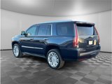Used 2019 Cadillac Escalade Platinum image 3