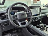New 2025 Ford F150 XLT w/ Equipment Group 301A Standard image 5