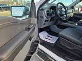 New 2025 Ford F150 XLT w/ Equipment Group 302A MID image 6