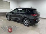 Used 2024 Ford Escape ST-Line image 4