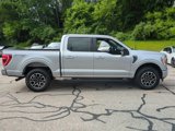 Certified 2023 Ford F150 XLT w/ Equipment Group 302A High image 2