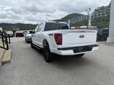 New 2025 Ford F150 XLT w/ Equipment Group 302A MID image 4