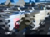 Used 2020 Chevrolet Silverado 1500 LT w/ All-Star Edition image 4