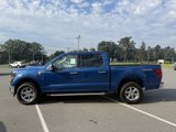 New 2025 Ford F150 XLT image 4