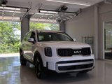 New 2025 Kia Telluride EX image 5