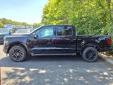 New 2025 Ford F150 XLT w/ Equipment Group 303A High image 3