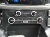 New 2025 Ford F150 XLT w/ Equipment Group 302A MID image 5