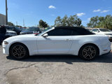 Used 2019 Ford Mustang Premium image 4