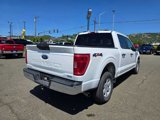 Certified 2022 Ford F150 XLT image 3