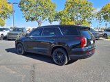 New 2025 Hyundai Palisade Calligraphy image 4