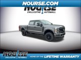 New 2025 Ford F250 XL image 2