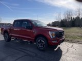 Certified 2023 Ford F150 XLT w/ Equipment Group 302A High image 2