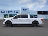 New 2025 Ford F150 XLT image 3