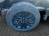 New 2025 Ford F150 XLT w/ Equipment Group 303A High image 4