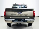 New 2025 Ford F150 XLT w/ Equipment Group 303A High image 5