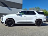 New 2025 Hyundai Palisade Calligraphy image 4