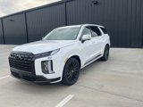 New 2025 Hyundai Palisade Calligraphy image 1