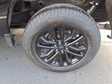 New 2025 Ford F150 XLT w/ Equipment Group 302A MID image 5