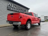 Used 2022 Ford F150 XLT image 3