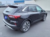 New 2025 Ford Escape Platinum w/ Premium Technology Package image 6
