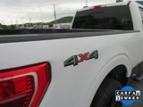 Used 2021 Ford F150 XLT w/ Equipment Group 302A High image 4