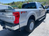 Used 2021 Ford F250 XL w/ STX Appearance Package image 2