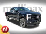 New 2025 Ford F250 Platinum image 1
