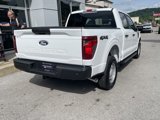 New 2025 Ford F150 XL image 3