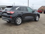 Used 2022 Ford Escape SE image 4