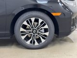 New 2026 Honda Odyssey Elite image 4