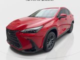 Used 2024 Lexus NX 250 FWD image 2