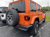 New 2025 Jeep Wrangler Sahara image 6