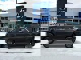 New 2025 Hyundai Palisade Calligraphy image 3