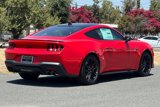 New 2025 Ford Mustang GT Premium w/ Mustang Nite Pony Package image 4