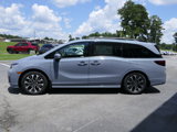 New 2026 Honda Odyssey Elite image 4