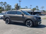 New 2025 Kia Telluride EX image 2