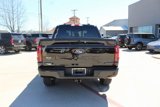 New 2025 Ford F150 XLT w/ Equipment Group 302A MID image 4