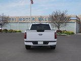 New 2025 Ford F150 STX image 5