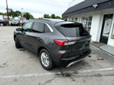 Used 2020 Ford Escape SE image 5