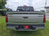 New 2025 Ford F150 XLT w/ Equipment Group 302A MID image 6