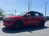 Used 2024 Ford Escape ST-Line Elite w/ Premium Technology Package image 5