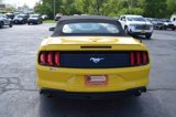 Used 2018 Ford Mustang Premium w/ Equipment Group 201A image 4