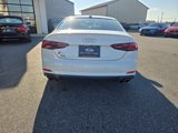 Used 2019 Audi S5 Premium Plus image 4