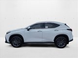 New 2026 Lexus NX 350 AWD w/ Premium Package image 5