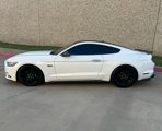 Used 2017 Ford Mustang GT Premium w/ Equipment Group 401A image 3