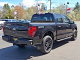 New 2025 Ford F150 STX w/ STX Black Appearance Package image 5
