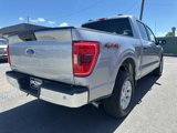 Used 2023 Ford F150 XLT image 4